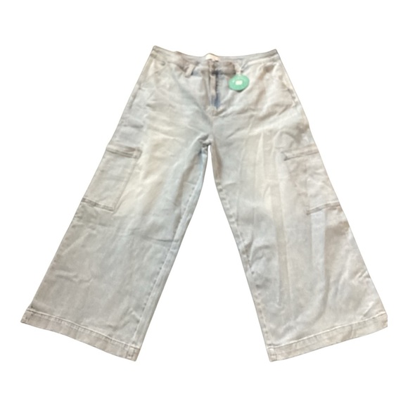 Blakeley Plus Wide-Leg  Stretchy Cargo Pants in wash blue High Rise Size 4X NWT - Picture 1 of 4